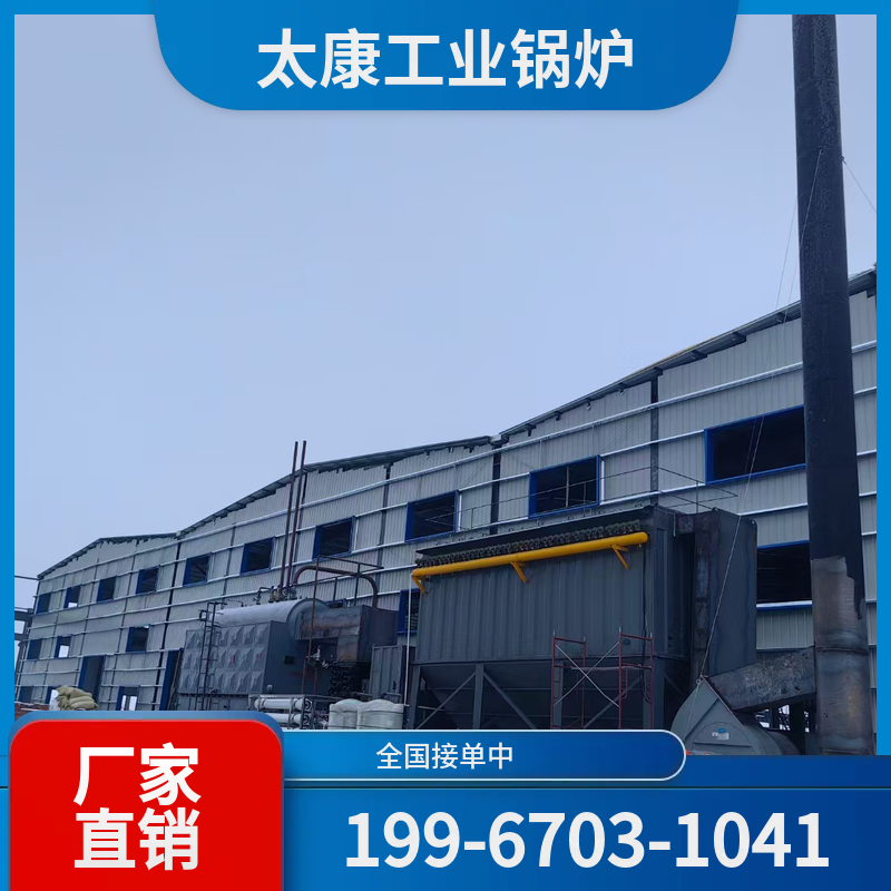 鹤岗节能导热油锅炉